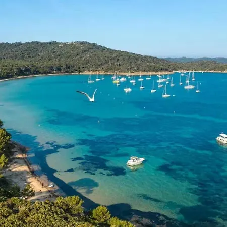 Avec Piscine Pres De La A La Londe-les-Maures