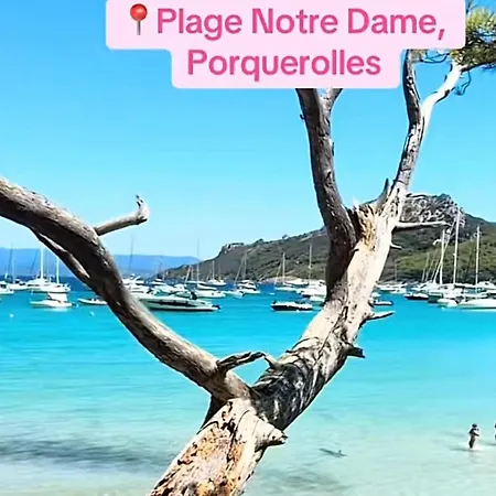 Avec Piscine Pres De La A Lägenhet *