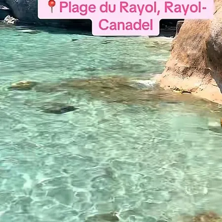 Avec Piscine Pres De La A Lägenhet La Londe-les-Maures